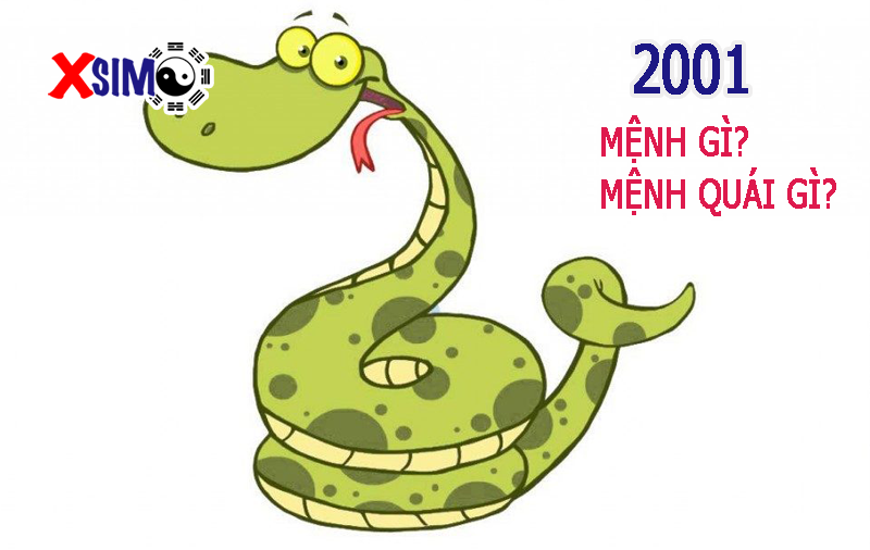 Người sinh năm 2001 mệnh gì? mệnh quái gì?