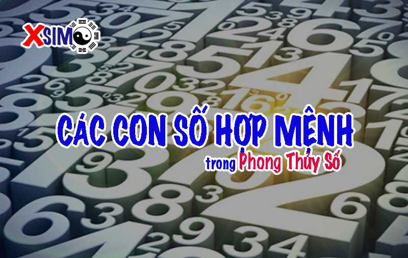 Các con số hợp mệnh trong Phong Thủy Số