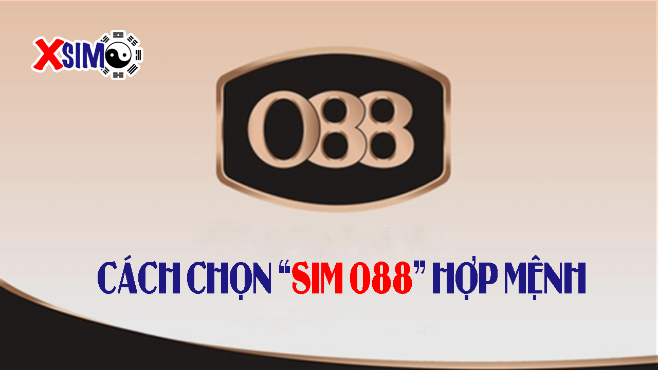 Cách chọn sim vinaphone đầu 088 hợp mệnh