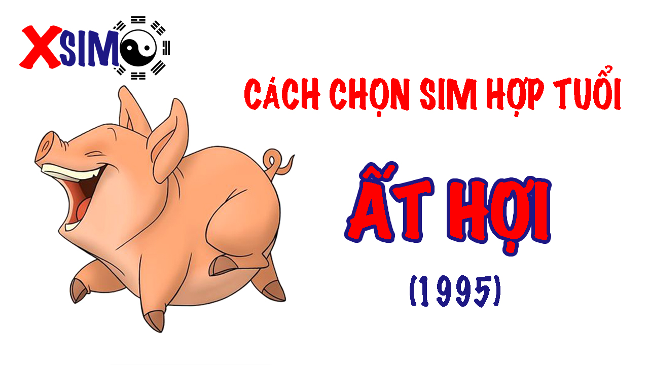 Hướng dẫn chọn sim hợp tuổi Ất Hợi 1995