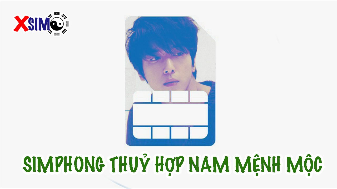 Cách chọn sim phong thuỷ hợp nam mệnh Mộc