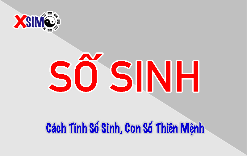 Cách tính số sinh trong phong thủy sim