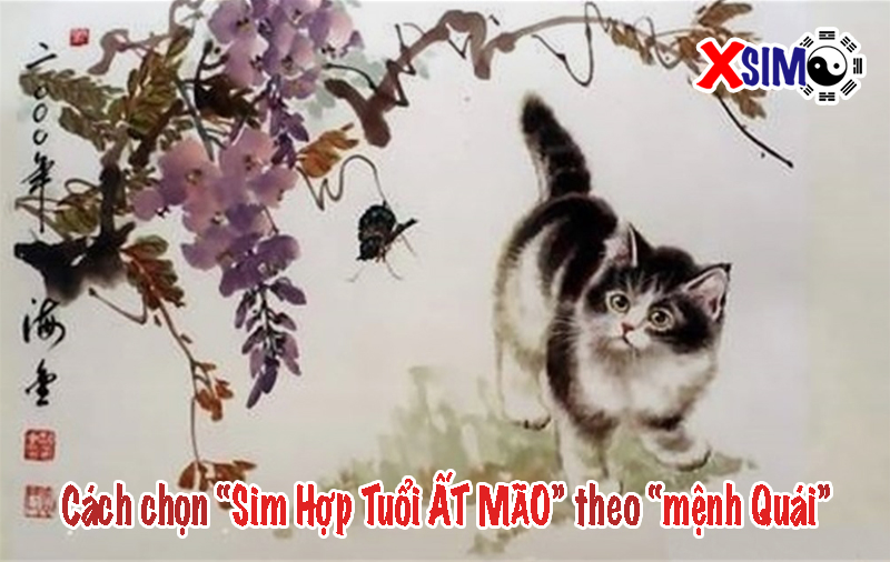 Chọn sim hợp tuổi 1975 theo mệnh quái