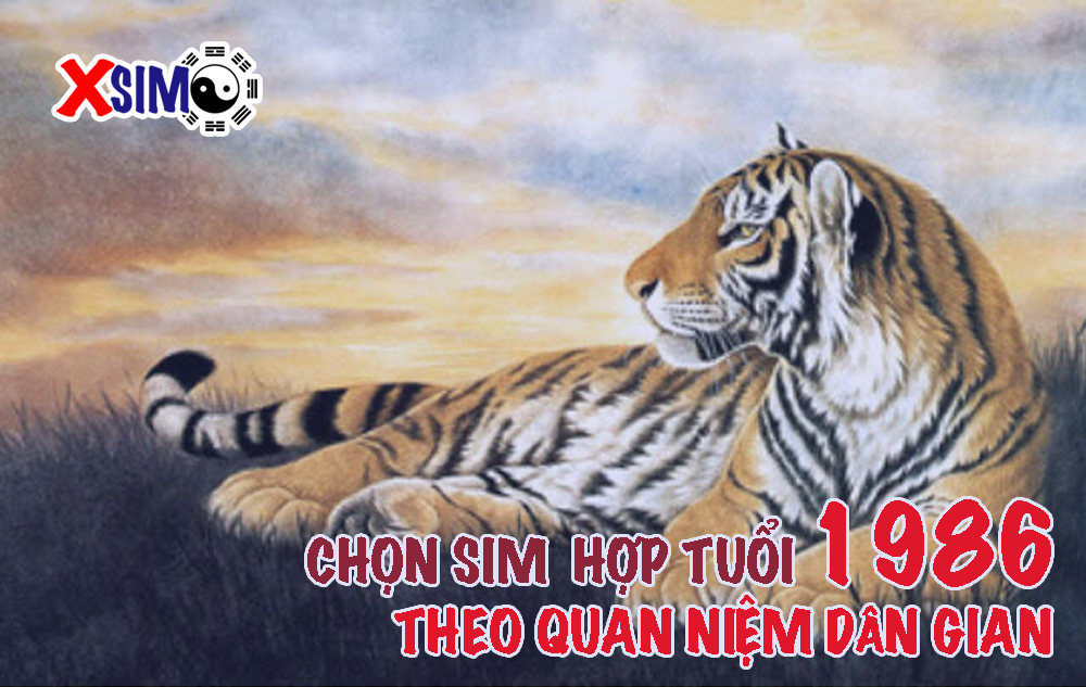 Chọn sim hợp tuổi Bính Dần theo quan niệm dân gian thế nào..?