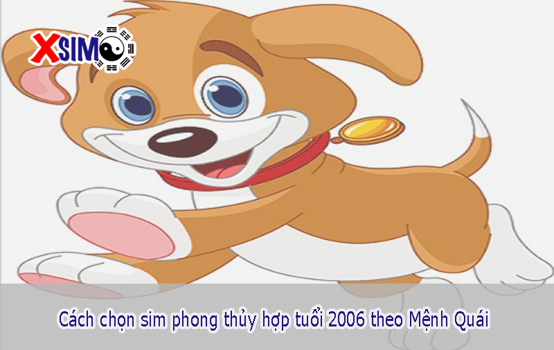 Cách chọn sim phong thủy hợp tuổi 2006