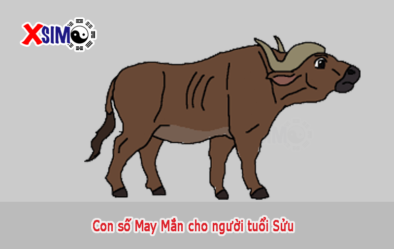 Con số may mắn cho người tuổi Sửu