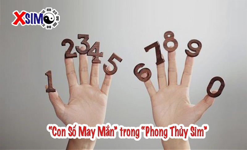 Con số may mắn trong phong thủy sim