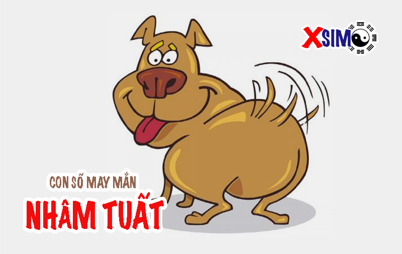 Các con số may mắn của người tuổi Nhâm Tuất 1982