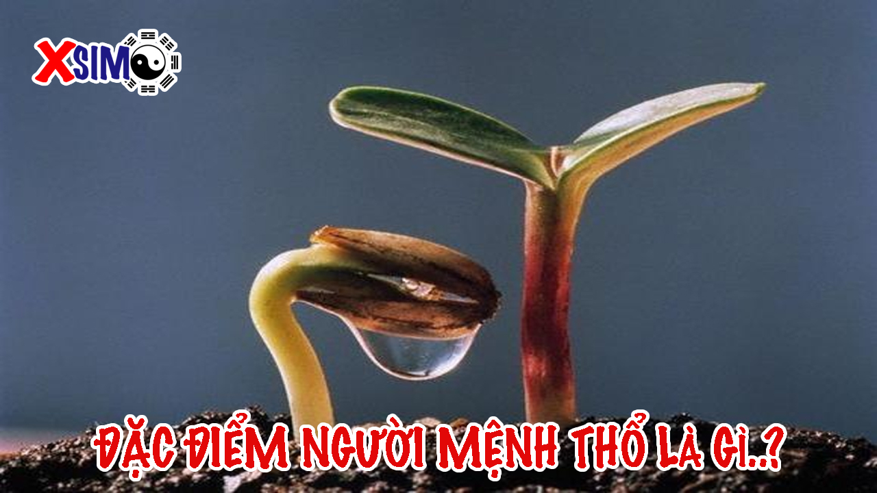 Đặc điểm người mệnh Thổ