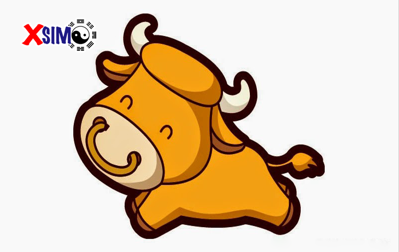 Tử vi tuổi Đinh sửu năm 2019