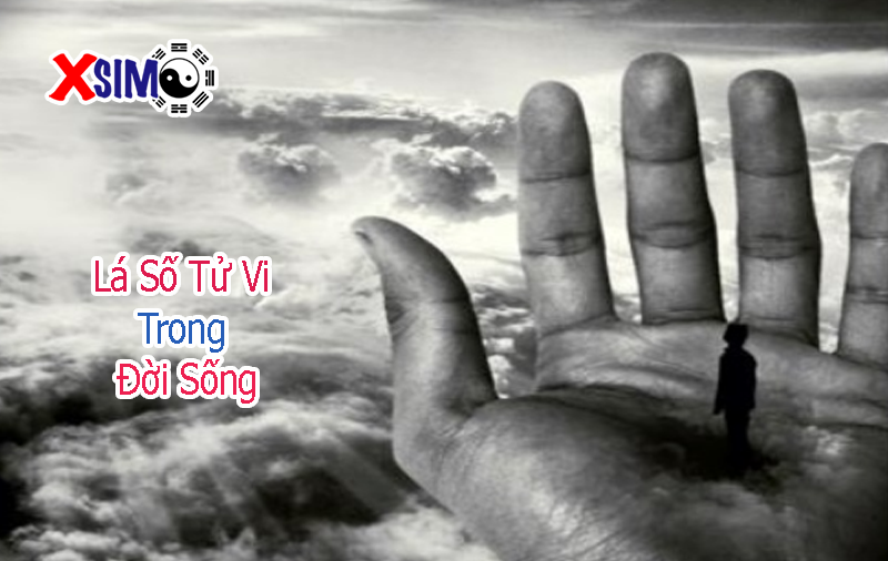 Trong đời sống Lá Số Tử Vi được ứng dụng ra sao?