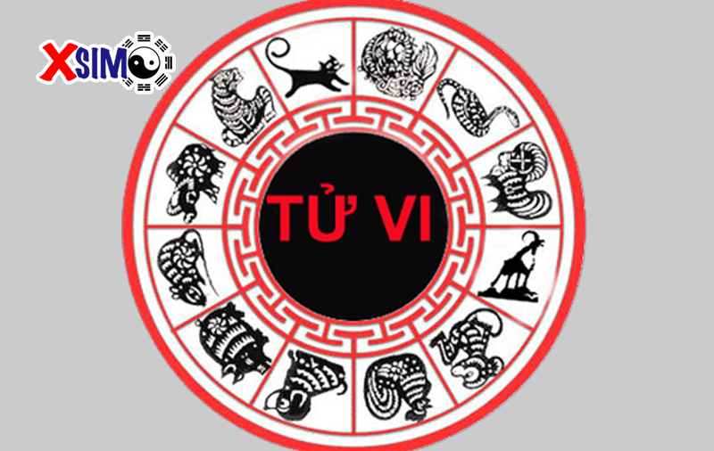 Lá Số Tử Vi và những điều cần biết