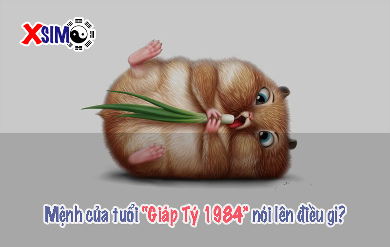 Mệnh của tuổi “Giáp Tý 1984” nói lên điều gì?