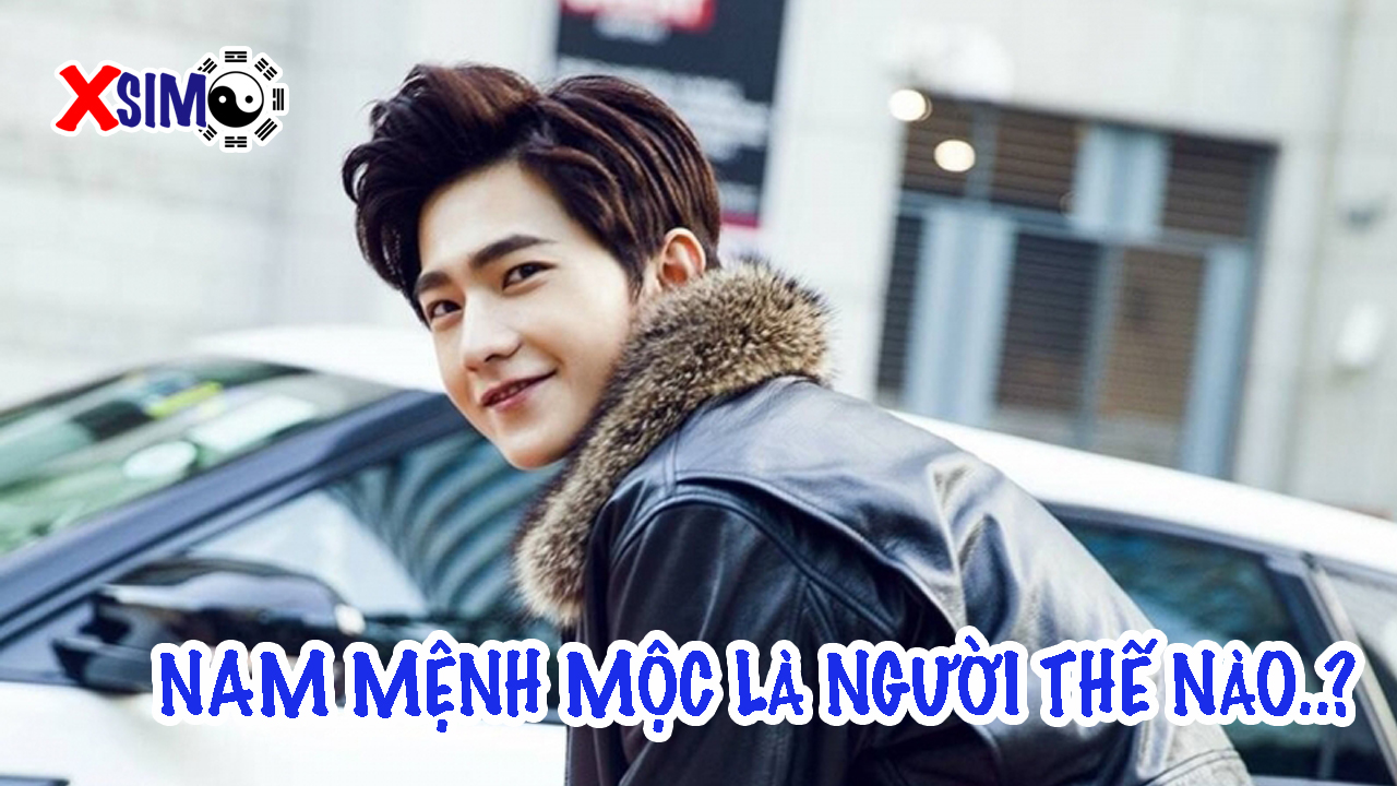 Nam mệnh mộc là người như thế nào: