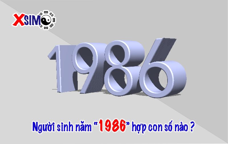 Người sinh năm 1986 hợp với số nào