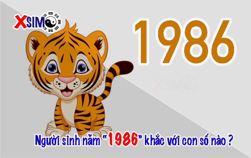 Người sinh năm 1986 tương khắc với số nào