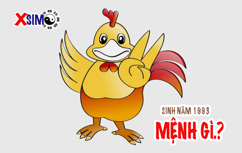Sinh năm 1993 mệnh gì, mênh này mang ý nghĩa gì