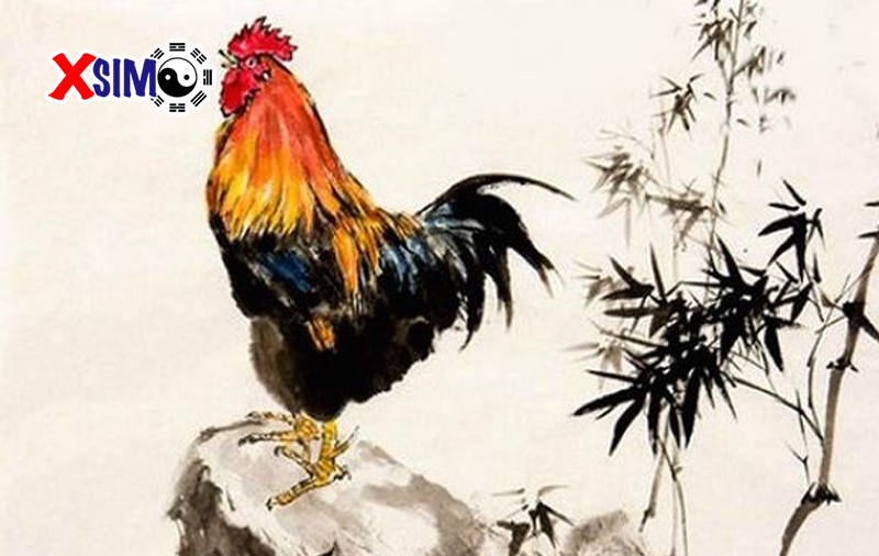 Tài vận người tuổi Dậu trong năm 2019