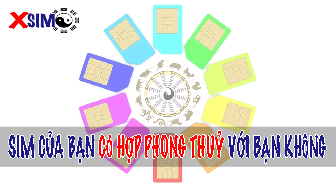 Số sim của bạn có hợp phong thuỷ với bạn không?