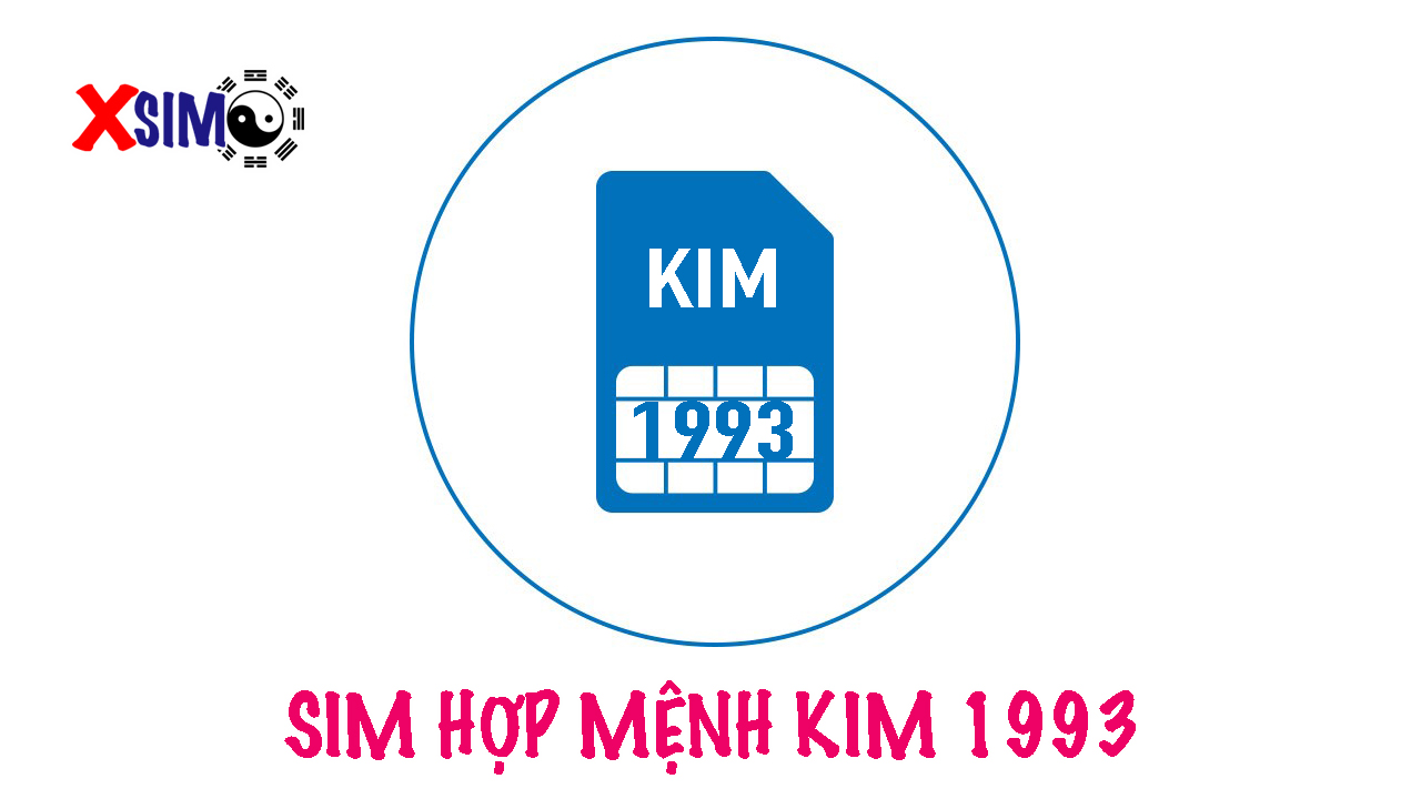 Sim hợp mệnh Kim 1993