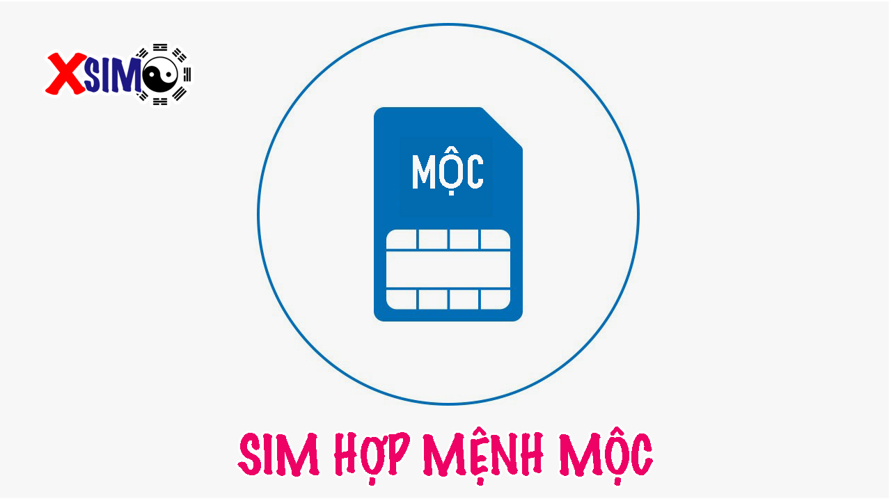 Cách chọn sim phong thủy hợp mệnh Mộc