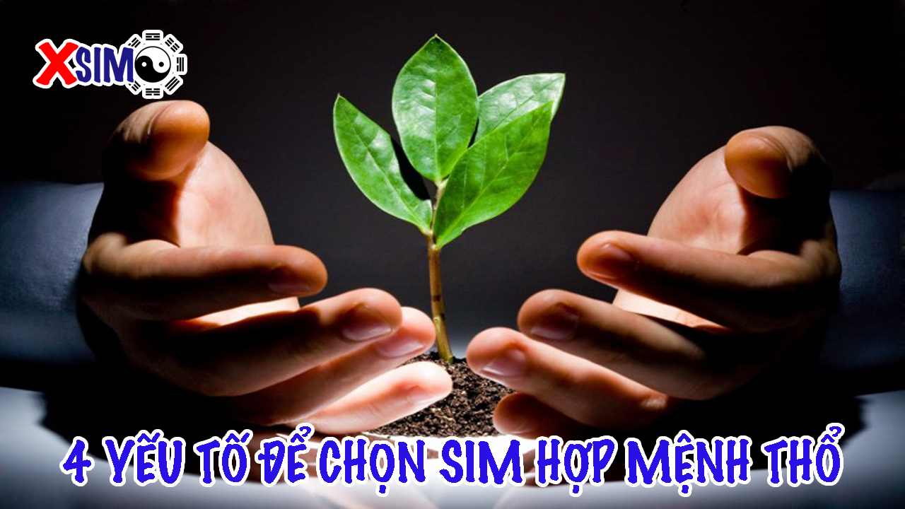 Yếu tố chọn sim hợp mệnh Thổ