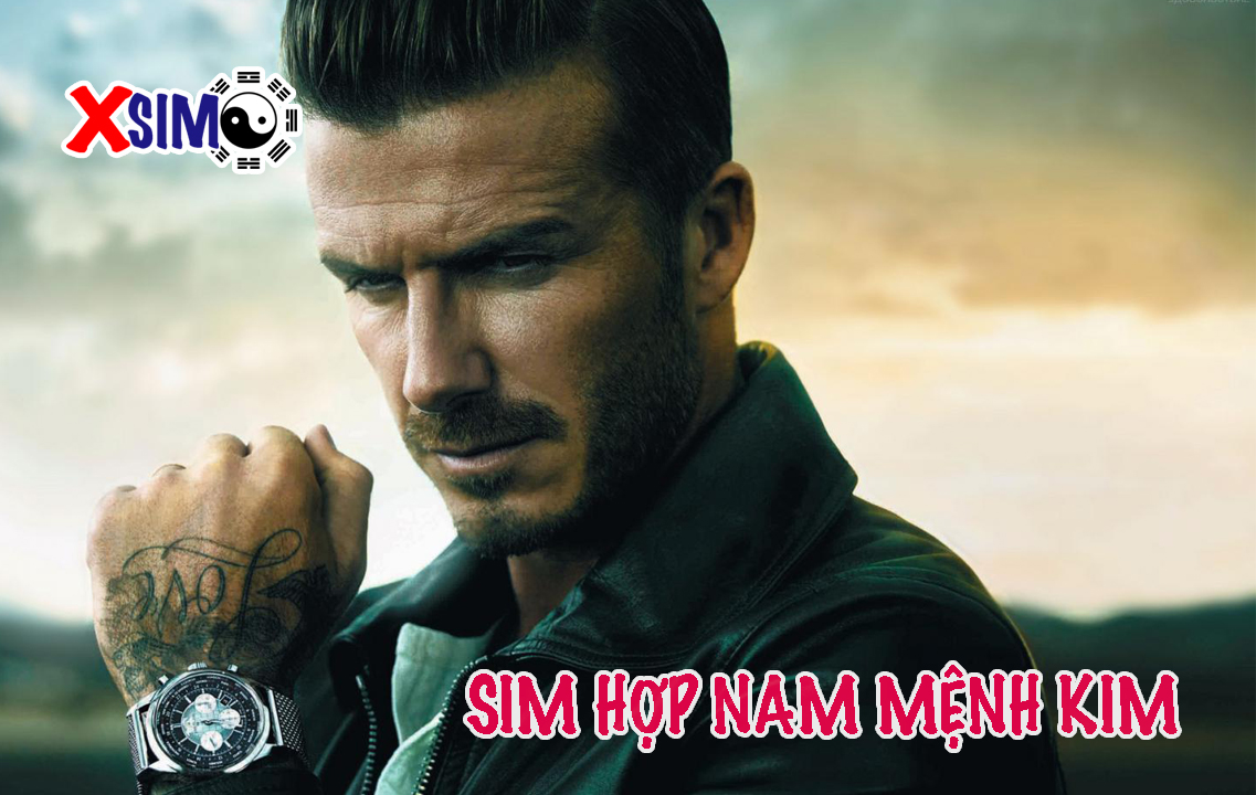 Sim hợp Nam mệnh Kim