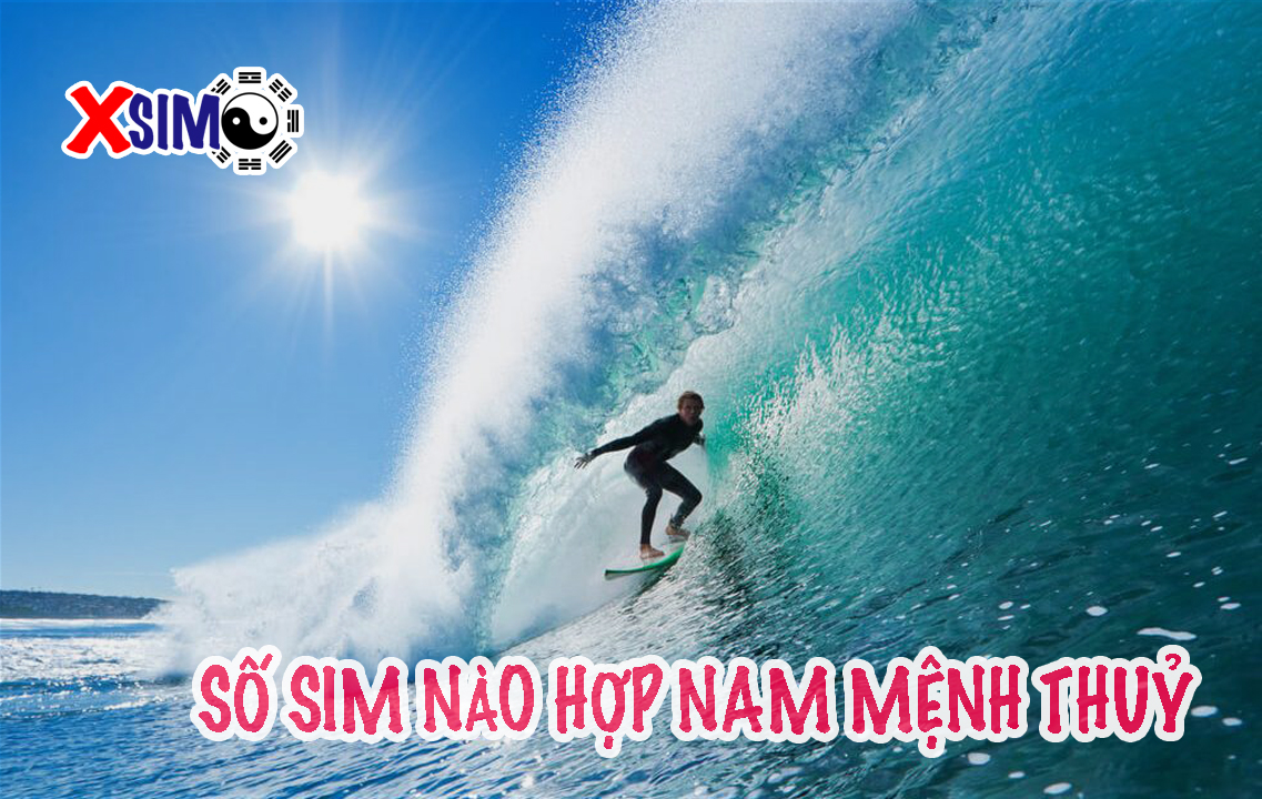 Dòng sim hợp với nam mệnh Thuỷ là dạng gì.?
