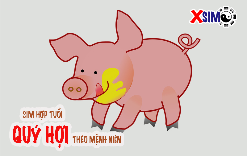 Sim phong thủy hợp tuổi 1983 theo mệnh Niên