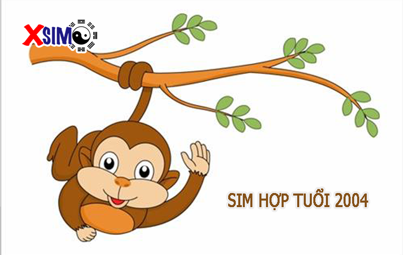 Bật mí cách chọn sim phong thủy hợp tuổi 2004