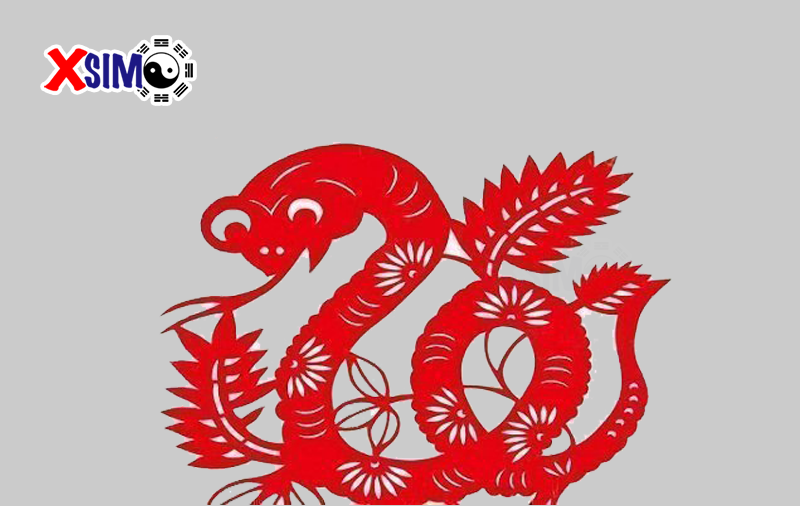 Cách chọn sim hợp tuổi 2013 (Quý Tỵ)
