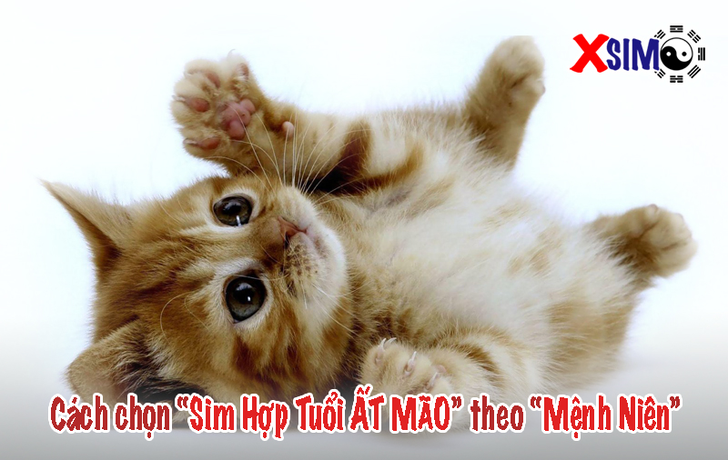 Cách chọn sim hợp tuổi Ất Mão theo mệnh Niên