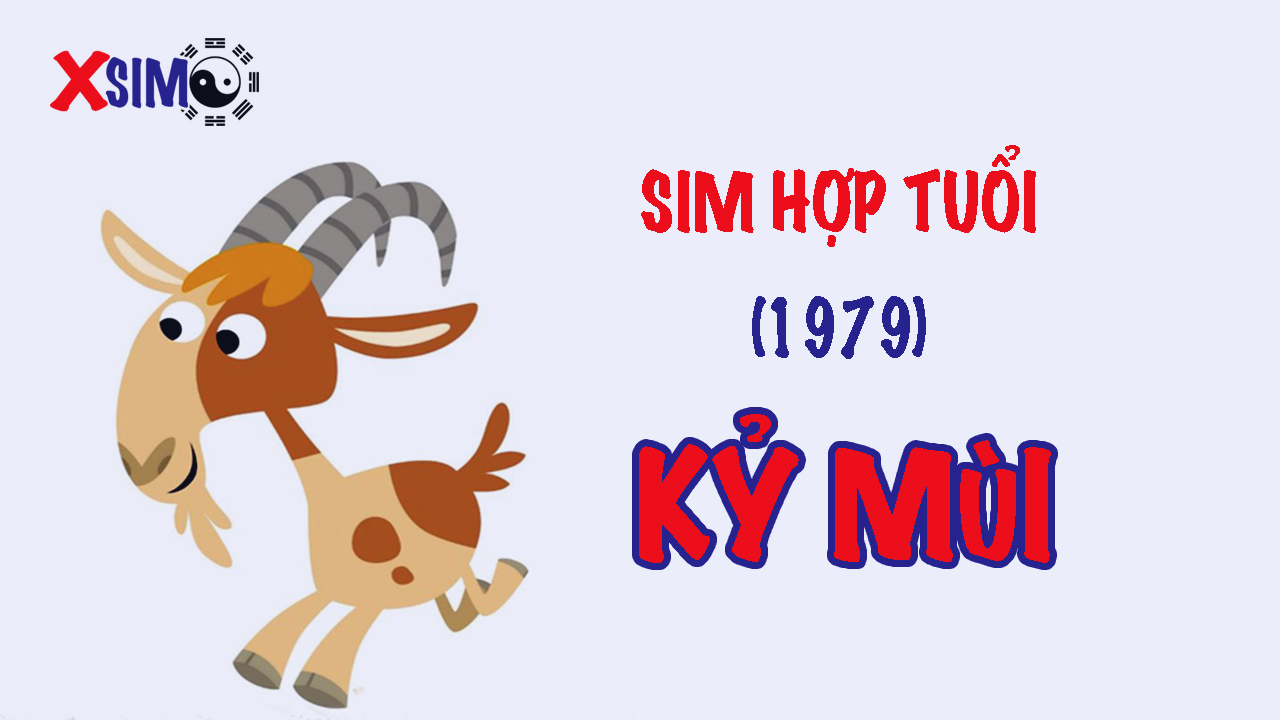 Sim phong thuỷ hợp tuổi kỷ mùi 1979