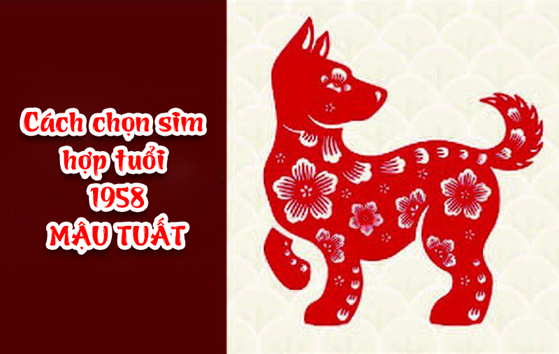 Hướng dẫn chọn sim hợp tuổi 1958 (Mậu Tuất)