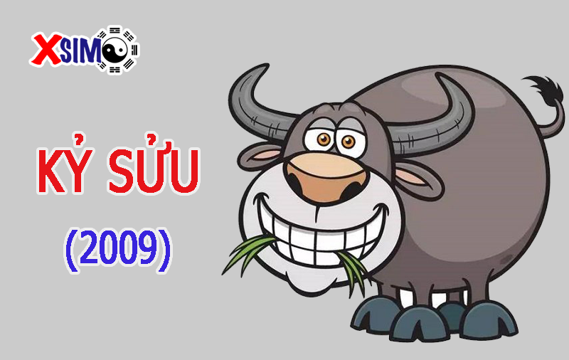 Sim phong thủy hợp tuổi Kỷ Sửu (2009)