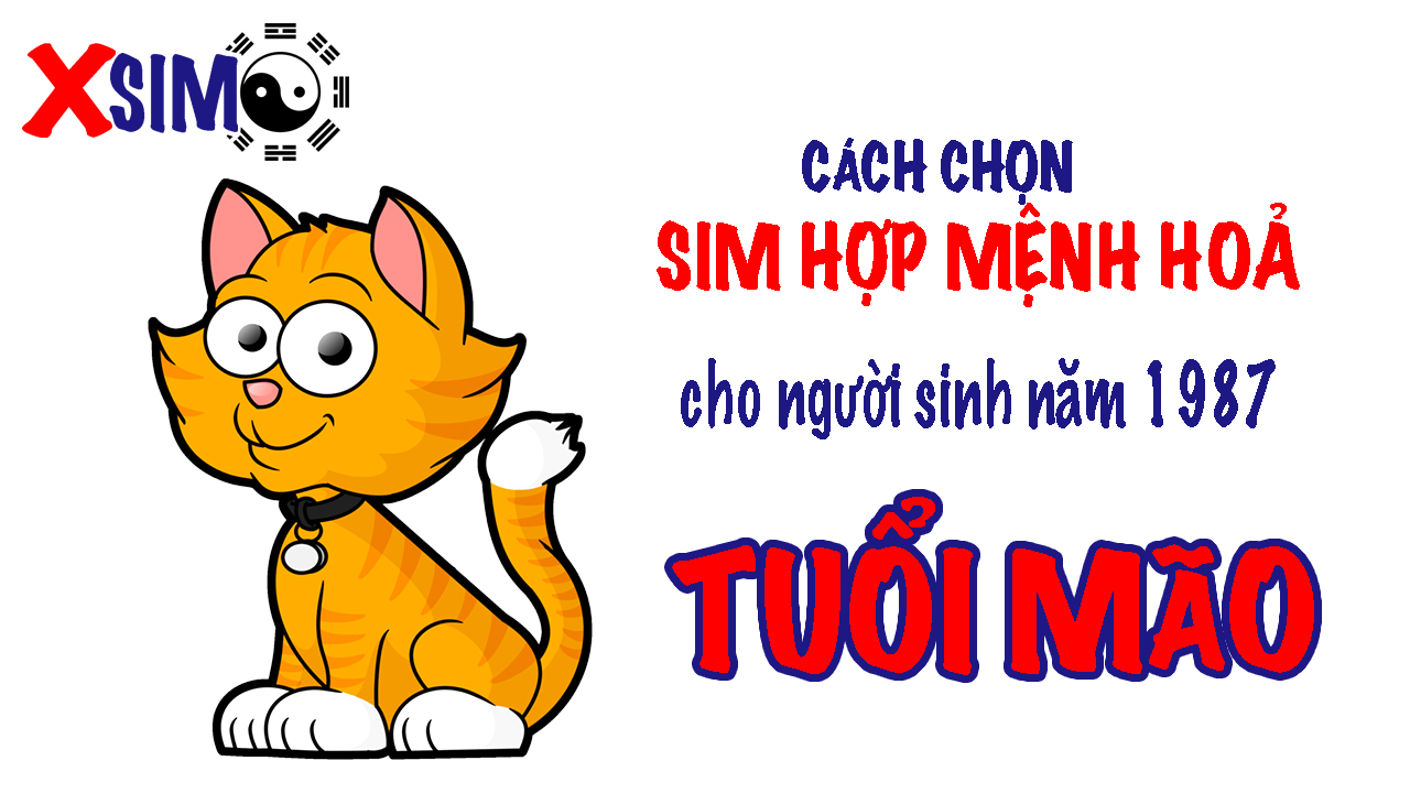 Sim phong thuỷ hợp mệnh Hoả 1987Sim phong thuỷ hợp mệnh Hoả 1987