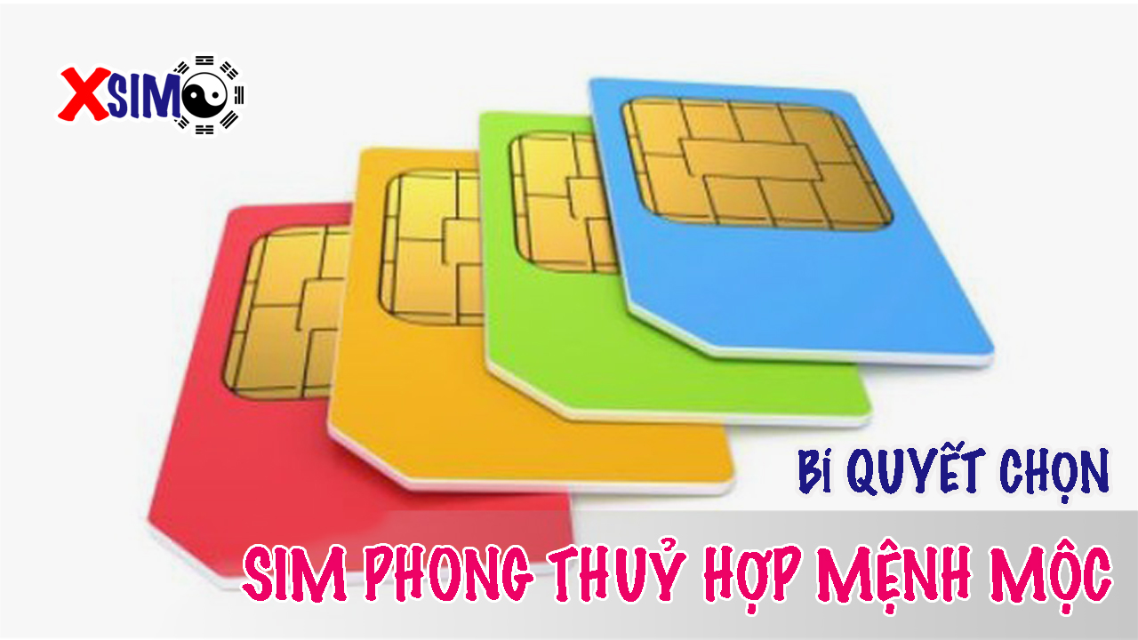Hướng dẫn chọn sim phong thuỷ hợp mệnh Mộc chính xác nhất