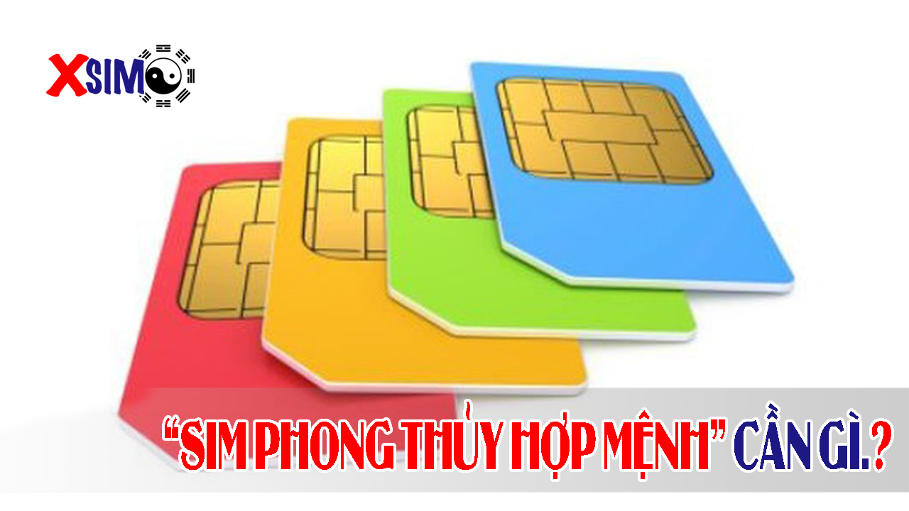 Sim phong thủy hợp mệnh