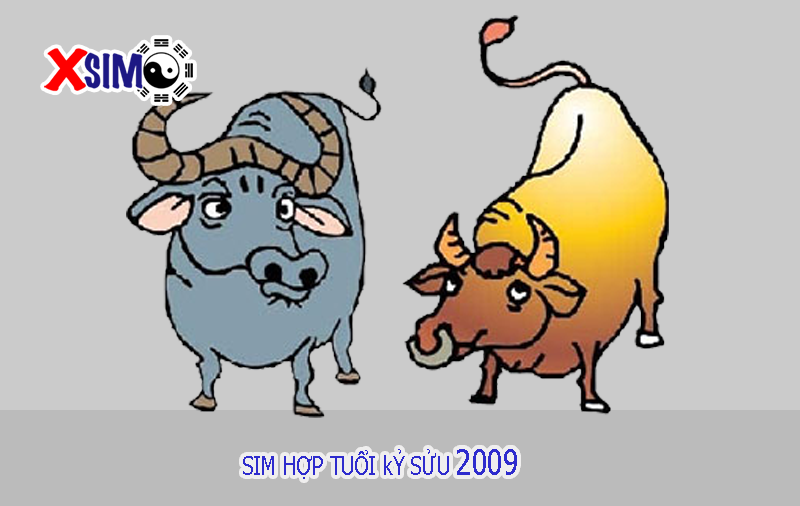 Chọn sim họp tuổi 2009 (Kỷ Sửu) theo cân bằng âm dương