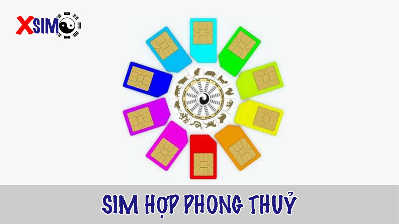 Chọn sim hợp phong thủy