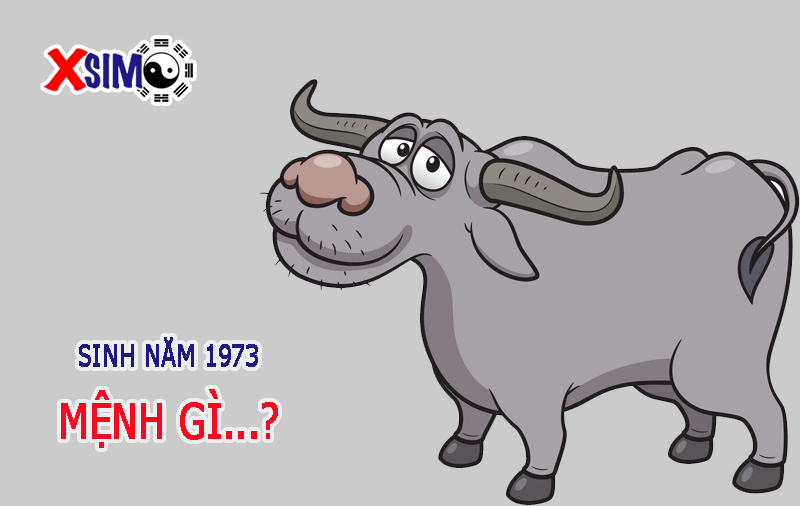 Mệnh của người sinh năm 1973 là gì?