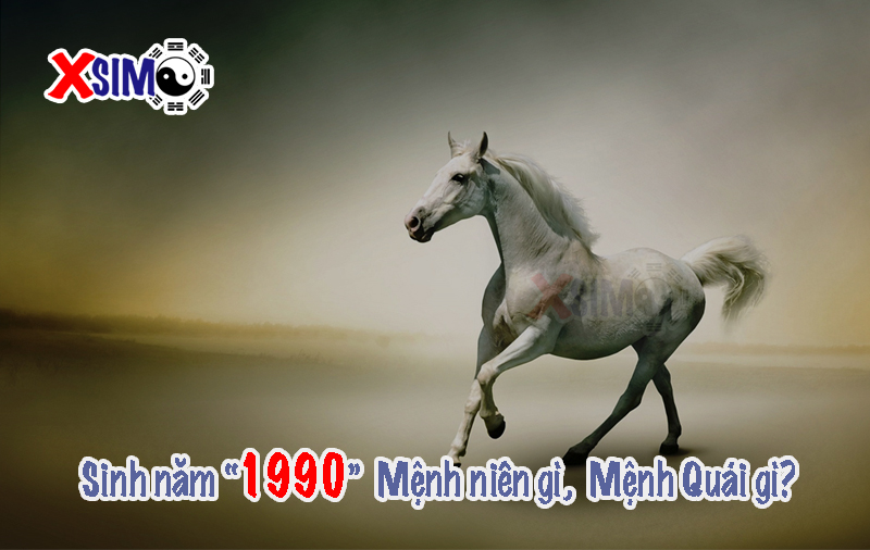 Sinh năm 1990 Mệnh gì, Mệnh Quái gì?