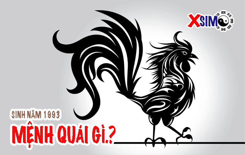 Sinh năm 1993 mệnh quái gì