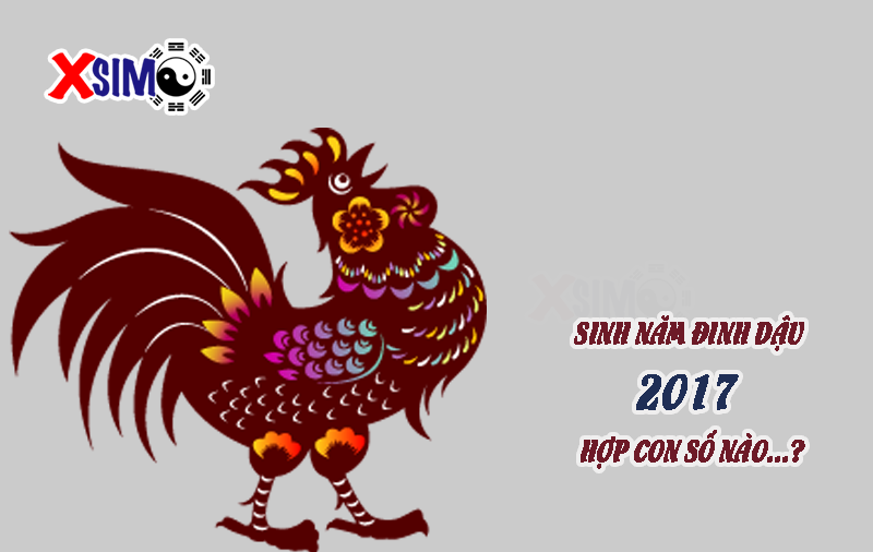 Người sinh năm Đinh Dậu hợp với con số nào?