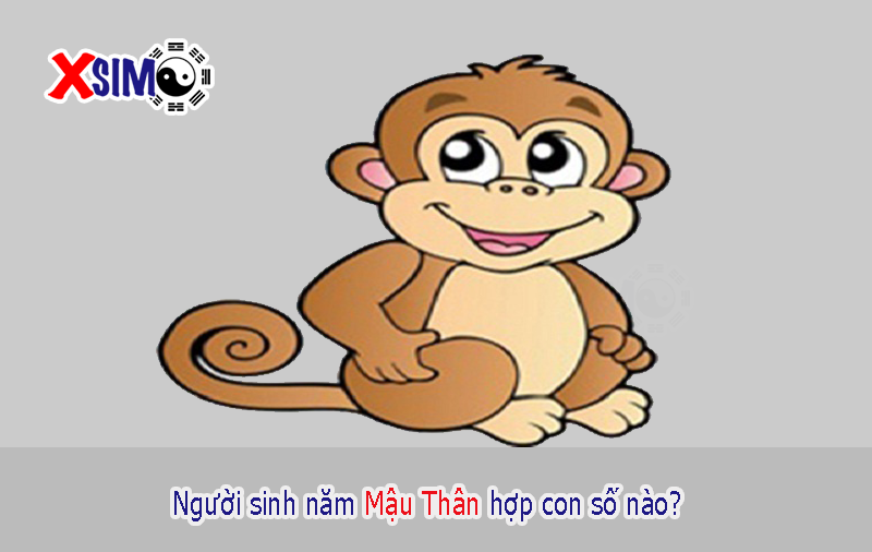 Con số hợp với người sinh năm 1968