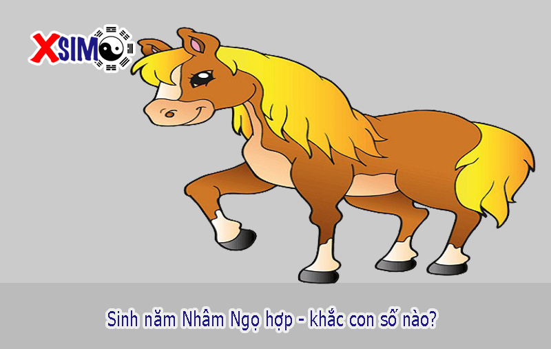 Sinh năm Nhâm Ngọ (2002) hợp - khắc với con số nào?