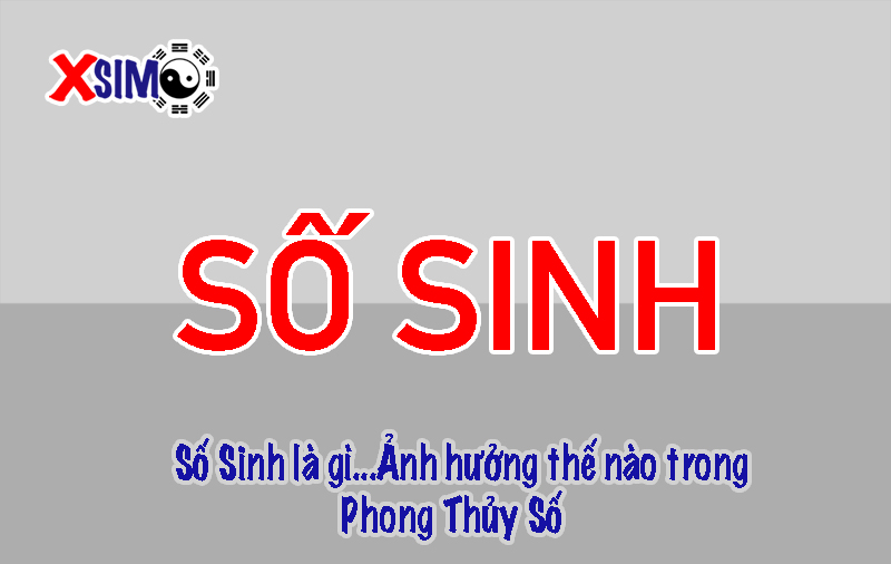 Số sinh là gì, số sinh ảnh hưởng như thế nào trong sim phong thủy
