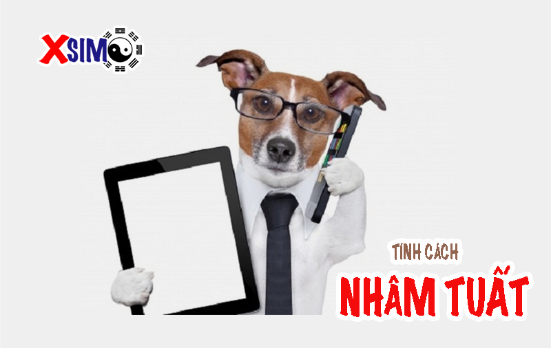 Tính cách tuổi Nhâm Tuất 1982 như thế nào