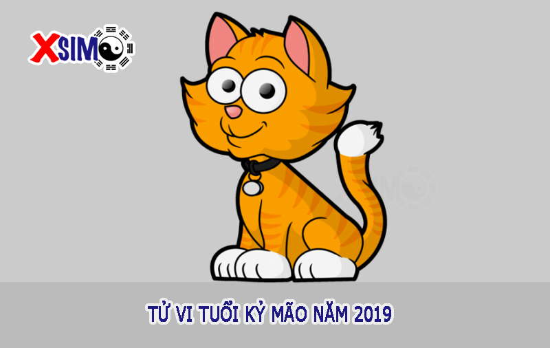 tử vi tuổi Kỷ Mão năm 2019