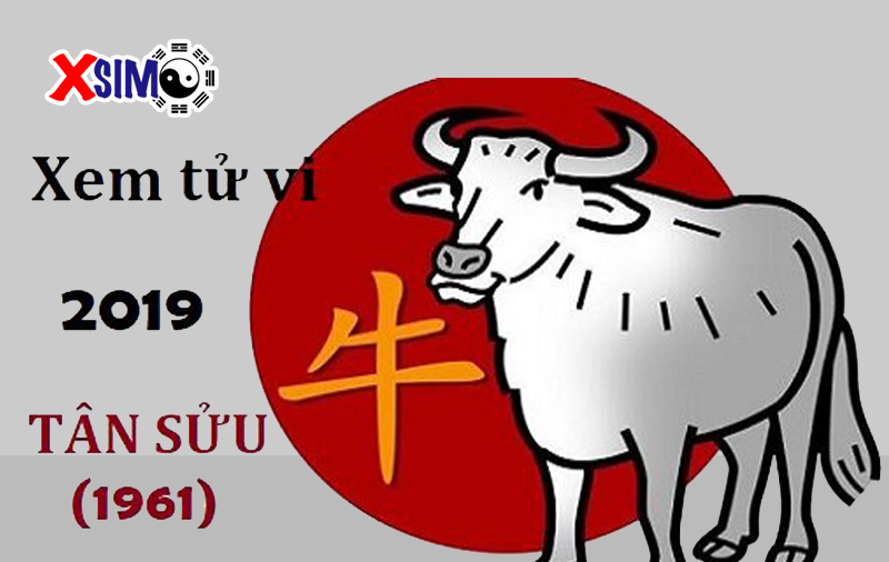 Xem tử vi tuổi Tân Sửu năm 2019